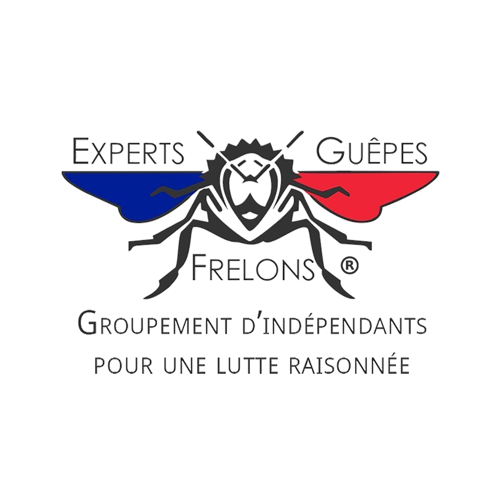 Les Experts Guêpes et Frelons